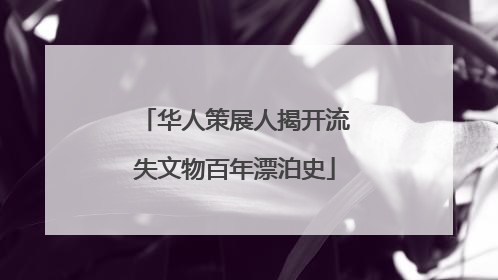 华人策展人揭开流失文物百年漂泊史