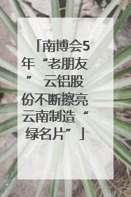 南博会5年“老朋友” 云铝股份不断擦亮云南制造“绿名片”