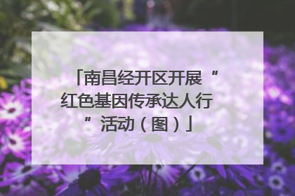 南昌经开区开展“红色基因传承达人行”活动（图）