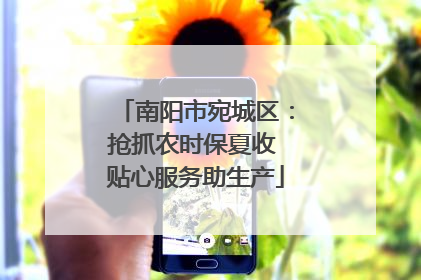 南阳市宛城区：抢抓农时保夏收 贴心服务助生产