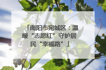 南阳市宛城区：温暖“志愿红”守护居民“幸福路”