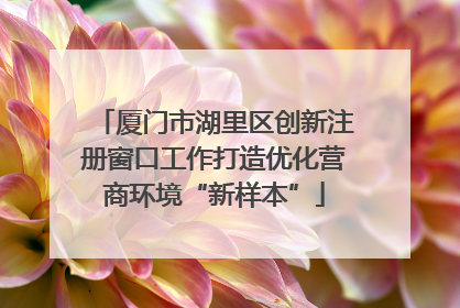 厦门市湖里区创新注册窗口工作打造优化营商环境“新样本”