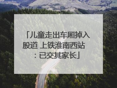 儿童走出车厢掉入股道 上铁淮南西站：已交其家长