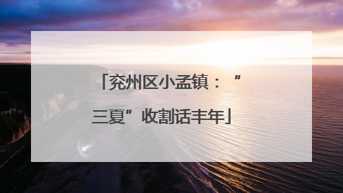 兖州区小孟镇：“三夏”收割话丰年