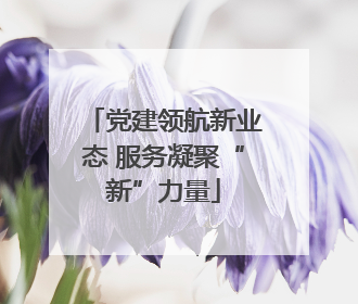 党建领航新业态 服务凝聚“新”力量