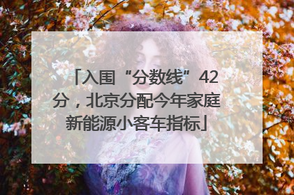 入围“分数线”42分，北京分配今年家庭新能源小客车指标