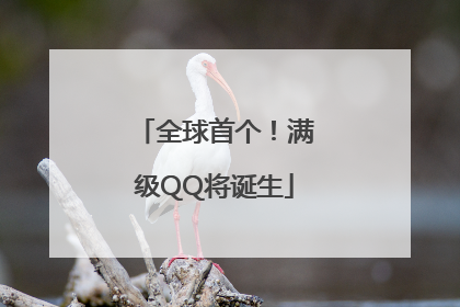 全球首个！满级QQ将诞生