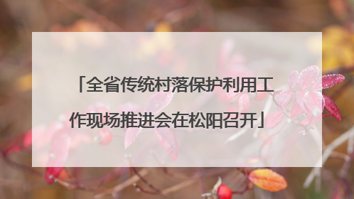 全省传统村落保护利用工作现场推进会在松阳召开
