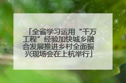 全省学习运用“千万工程”经验加快城乡融合发展推进乡村全面振兴现场会在上杭举行