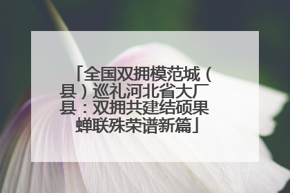 全国双拥模范城（县）巡礼河北省大厂县：双拥共建结硕果 蝉联殊荣谱新篇