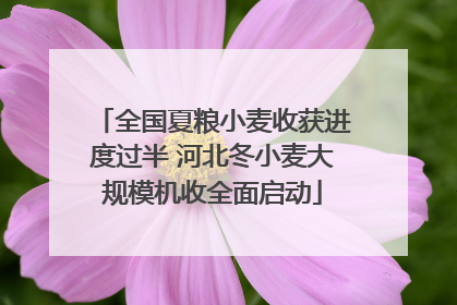全国夏粮小麦收获进度过半 河北冬小麦大规模机收全面启动