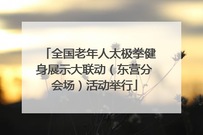 全国老年人太极拳健身展示大联动（东营分会场）活动举行