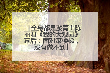 全身都是淤青！陈丽君《我的大观园》幕后：面对滚楼梯，没有做不到