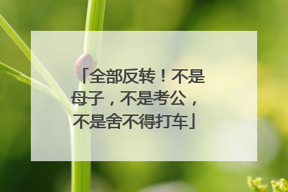 全部反转！不是母子，不是考公，不是舍不得打车