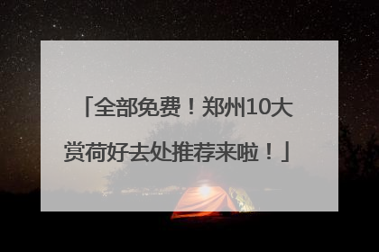 全部免费！郑州10大赏荷好去处推荐来啦！