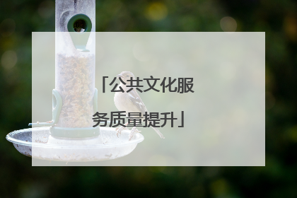 公共文化服务质量提升