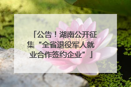 公告！湖南公开征集“全省退役军人就业合作签约企业”