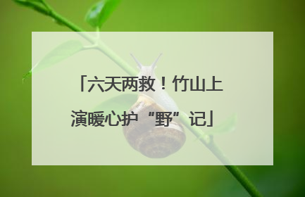 六天两救！竹山上演暖心护“野”记