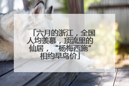 六月的浙江，全国人均羡慕，顶流里的仙居，“杨梅西施”相约早鸟价
