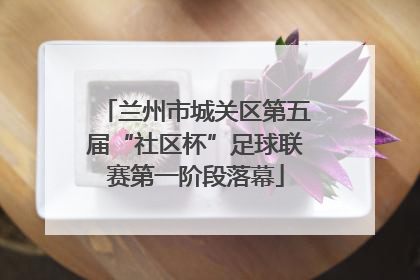 兰州市城关区第五届“社区杯”足球联赛第一阶段落幕