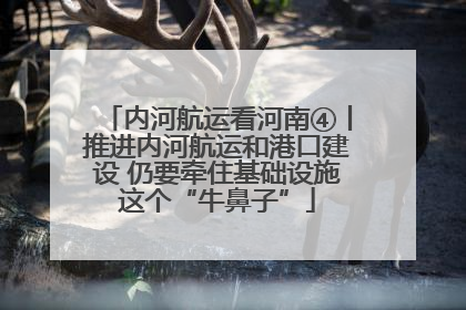 内河航运看河南④丨推进内河航运和港口建设 仍要牵住基础设施这个“牛鼻子”