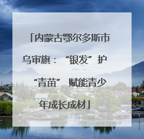 内蒙古鄂尔多斯市乌审旗：“银发”护“青苗” 赋能青少年成长成材