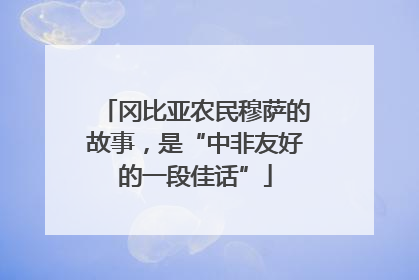 冈比亚农民穆萨的故事，是“中非友好的一段佳话”