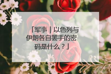 军事｜以色列与伊朗各自罢手的密码是什么？