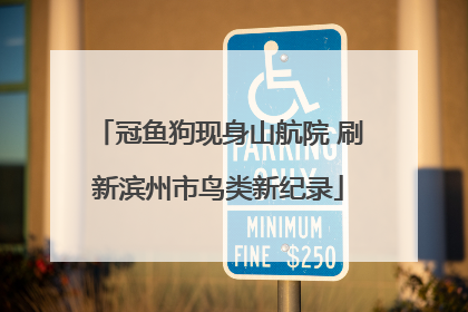 冠鱼狗现身山航院 刷新滨州市鸟类新纪录