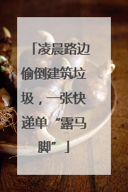凌晨路边偷倒建筑垃圾，一张快递单“露马脚”