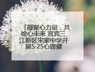 凝聚心力量，共绘心未来 宜宾三江新区宋家中学开展5·25心理健康月活动
