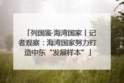 列国鉴·海湾国家丨记者观察：海湾国家努力打造中东“发展样本”
