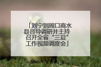 刘宁到周口商水县督导调研并主持召开全省“三夏”工作视频调度会