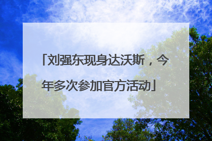 刘强东现身达沃斯，今年多次参加官方活动