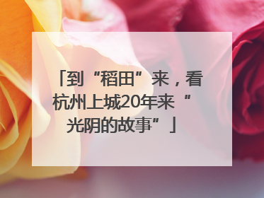到“稻田”来，看杭州上城20年来“光阴的故事”