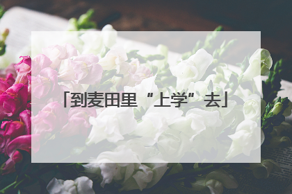 到麦田里“上学”去