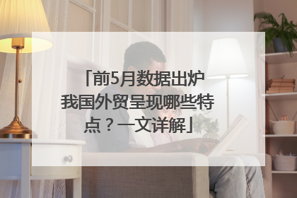 前5月数据出炉 我国外贸呈现哪些特点？一文详解