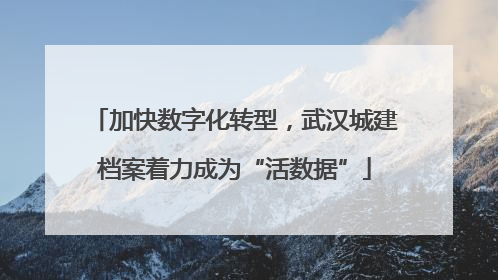 加快数字化转型，武汉城建档案着力成为“活数据”