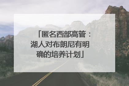 匿名西部高管：湖人对布朗尼有明确的培养计划