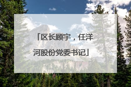 区长顾宇，任洋河股份党委书记