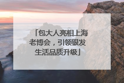 包大人亮相上海老博会，引领银发生活品质升级