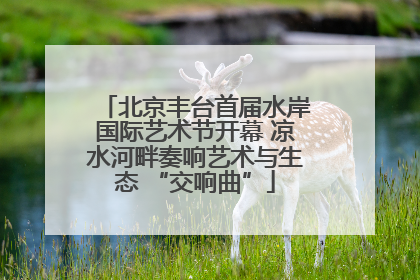 北京丰台首届水岸国际艺术节开幕 凉水河畔奏响艺术与生态 “交响曲”