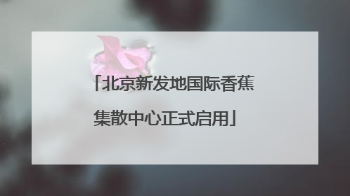北京新发地国际香蕉集散中心正式启用