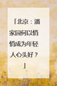 北京：潘家园何以悄悄成为年轻人心头好？