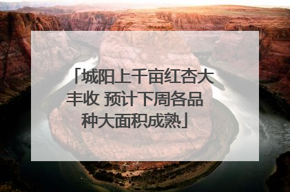 城阳上千亩红杏大丰收 预计下周各品种大面积成熟