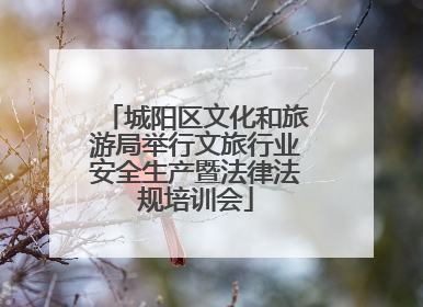 城阳区文化和旅游局举行文旅行业安全生产暨法律法规培训会