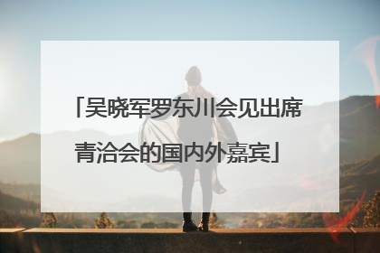 吴晓军罗东川会见出席青洽会的国内外嘉宾