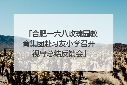 合肥一六八玫瑰园教育集团赴习友小学召开视导总结反馈会