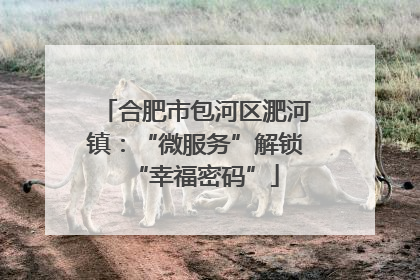 合肥市包河区淝河镇：“微服务”解锁“幸福密码”
