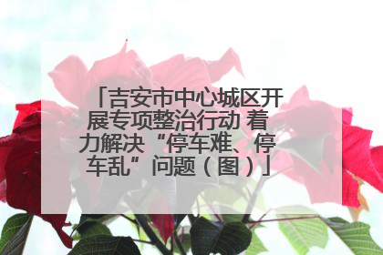吉安市中心城区开展专项整治行动 着力解决“停车难、停车乱”问题（图）